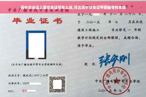 高中毕业证上面毕业证号怎么填,河北高中毕业证学籍编号样本图 高中毕业证上面毕业证号怎么填,河北高中毕业证学籍编号样本图