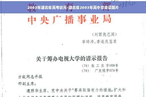 2003年湖北省高考状元-湖北省2003年高中毕业证图片
