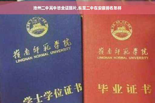 池州二中高中毕业证图片,东至二中在安徽排名怎样