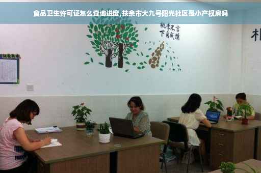 食品卫生许可证怎么查询进度,扶余市大九号阳光社区是小产权房吗