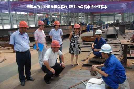 专插本的毕业证是怎么样的,湛江09年高中毕业证样本