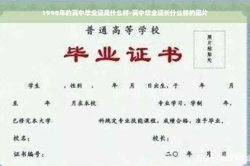 1990年的高中毕业证是什么样-高中毕业证长什么样的图片