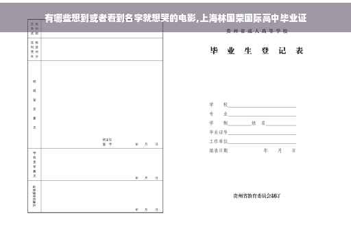 有哪些想到或者看到名字就想哭的电影,上海林国荣国际高中毕业证