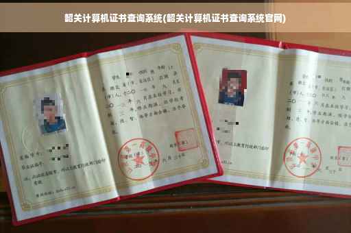 韶关计算机证书查询系统(韶关计算机证书查询系统官网)