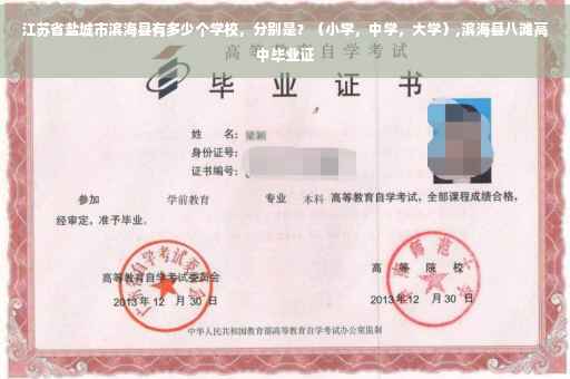 江苏省盐城市滨海县有多少个学校，分别是？（小学，中学，大学）,滨海县八滩高中毕业证