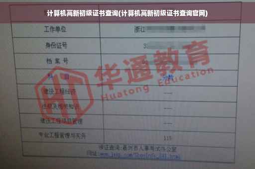 计算机高新初级证书查询(计算机高新初级证书查询官网)