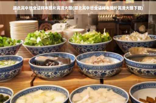 湖北高中毕业证样本图片高清大图(湖北高中毕业证样本图片高清大图下载)