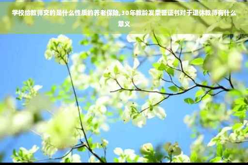 学校给教师交的是什么性质的养老保险,30年教龄发荣誉证书对于退休教师有什么意义