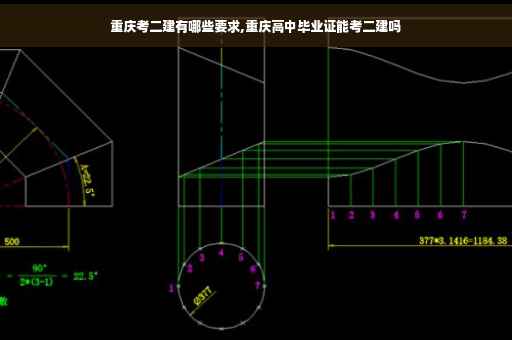 重庆考二建有哪些要求,重庆高中毕业证能考二建吗