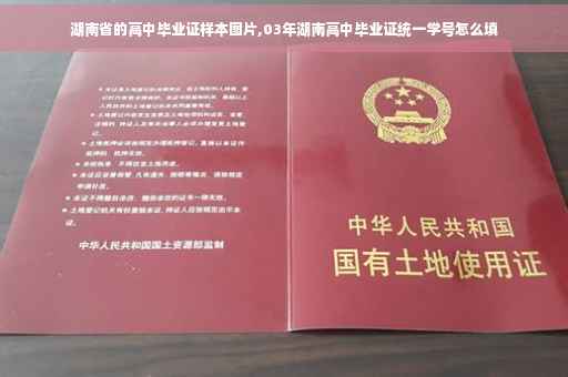 湖南省的高中毕业证样本图片,03年湖南高中毕业证统一学号怎么填