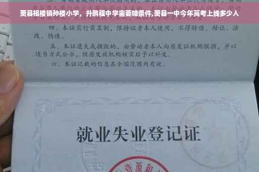 萧县祖楼镇孙楼小学，升鹏程中学需要啥条件,萧县一中今年高考上线多少人