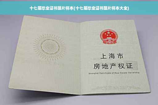 十七届毕业证书图片样本(十七届毕业证书图片样本大全)