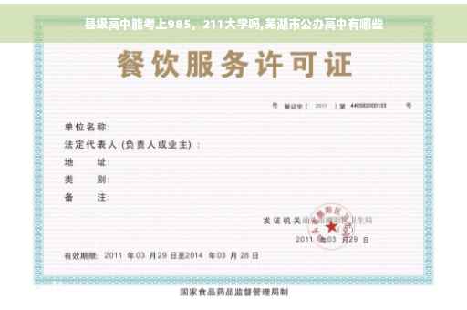 县级高中能考上985，211大学吗,芜湖市公办高中有哪些