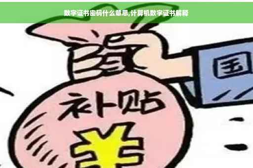 数字证书密码什么意思,计算机数字证书解释 数字证书密码什么意思,计算机数字证书解释
