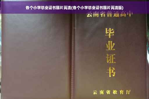 各个小学毕业证书图片高清(各个小学毕业证书图片高清版)