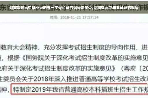 湖南普通高中毕业证的统一学号和证书编号是多少,湖南省高中毕业证证书编号