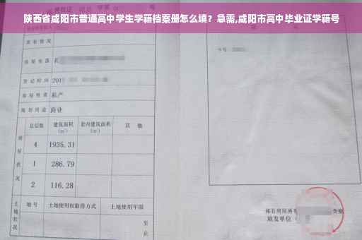 陕西省咸阳市普通高中学生学籍档案册怎么填？急需,咸阳市高中毕业证学籍号