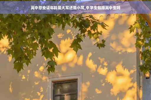 高中毕业证年龄是大写还是小写,中学生包括高中生吗