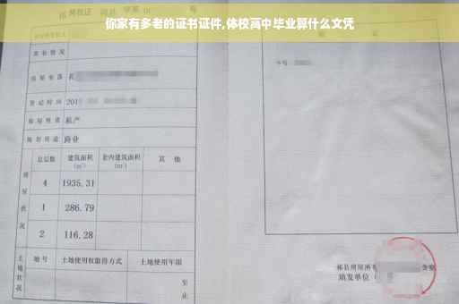你家有多老的证书证件,体校高中毕业算什么文凭