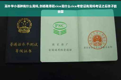 高中学小语种有什么用吗,剑桥雅思和cice是什么cice考官证有用吗考证之后孩子能去国