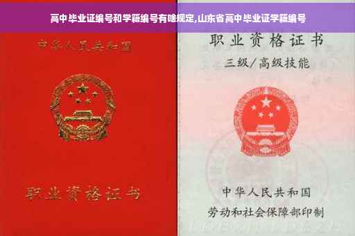 高中毕业证编号和学籍编号有啥规定,山东省高中毕业证学籍编号