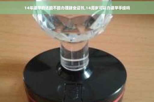 14年退学的还能不能办理肄业证书,14周岁可以办退学手续吗