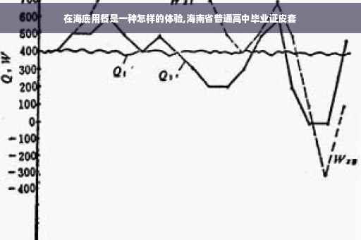 在海底用餐是一种怎样的体验,海南省普通高中毕业证皮套