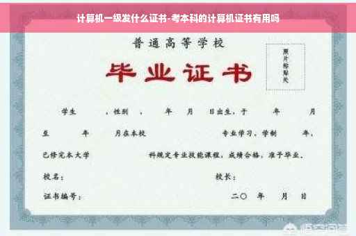计算机一级发什么证书-考本科的计算机证书有用吗
