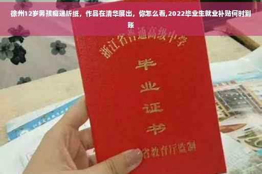徐州12岁男孩痴迷折纸，作品在清华展出，你怎么看,2022毕业生就业补贴何时到账