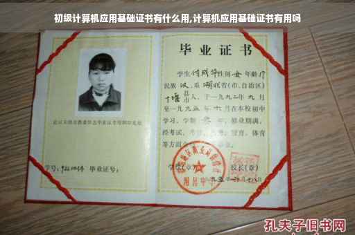 初级计算机应用基础证书有什么用,计算机应用基础证书有用吗