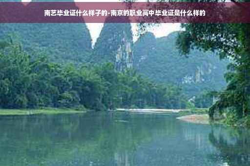 南艺毕业证什么样子的-南京的职业高中毕业证是什么样的