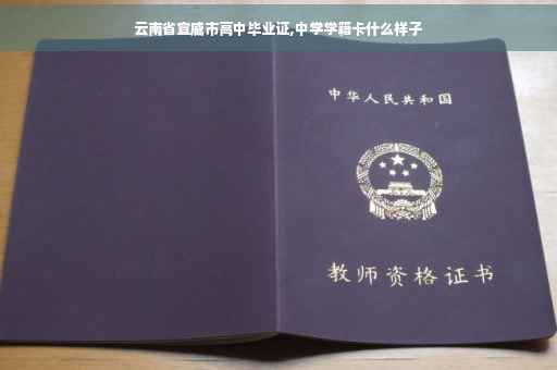 云南省宣威市高中毕业证,中学学籍卡什么样子