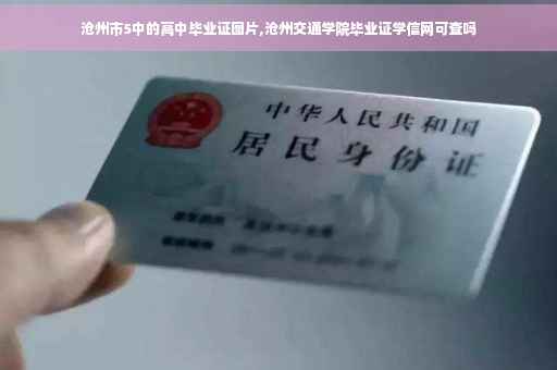 沧州市5中的高中毕业证图片,沧州交通学院毕业证学信网可查吗