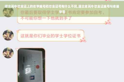 湖北高中毕业证上的省学编号和毕业证号有什么不同,湖北省高中毕业证编号与省编学号