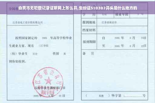 自贡市无犯罪记录证明网上怎么开,生份证510307开头是什么地方的