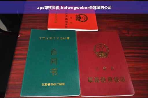 aps审核步骤,holwegweber是哪国的公司