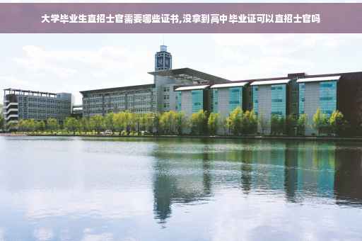 大学毕业生直招士官需要哪些证书,没拿到高中毕业证可以直招士官吗