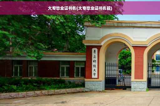 大专毕业证书名(大专毕业证书名称)