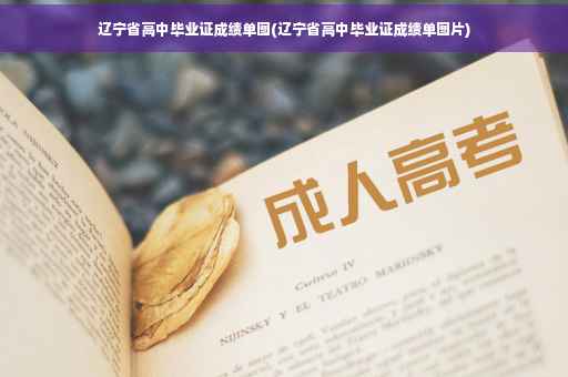 辽宁省高中毕业证成绩单图(辽宁省高中毕业证成绩单图片)