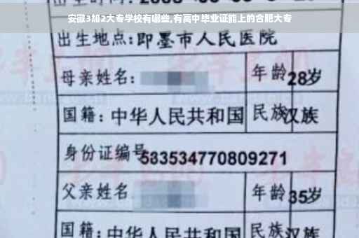 安徽3加2大专学校有哪些,有高中毕业证能上的合肥大专