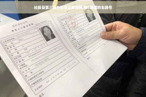 社旗县第三高中毕业证查询网,豫C是哪的车牌号