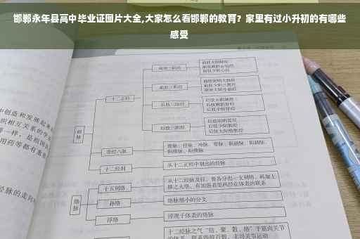 邯郸永年县高中毕业证图片大全,大家怎么看邯郸的教育？家里有过小升初的有哪些感受