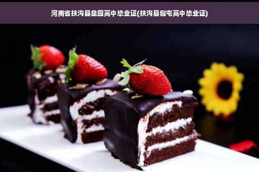 河南省扶沟县韭园高中毕业证(扶沟县包屯高中毕业证)