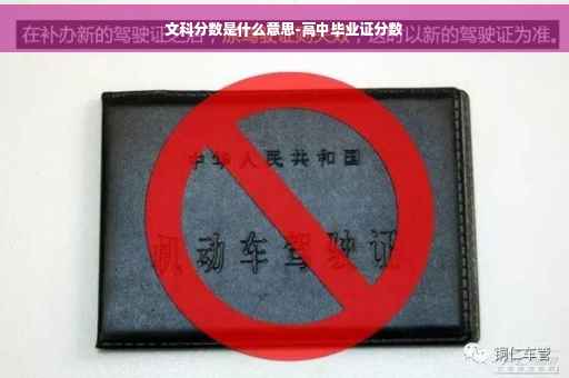 文科分数是什么意思-高中毕业证分数