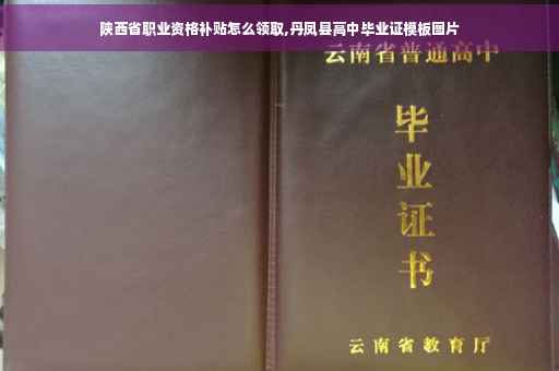 陕西省职业资格补贴怎么领取,丹凤县高中毕业证模板图片