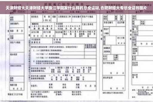 天津财经大天津财经大学珠江学院发什么样的毕业证呀,合肥财经大专毕业证书图片