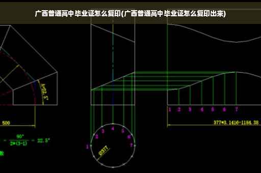 广西普通高中毕业证怎么复印(广西普通高中毕业证怎么复印出来)