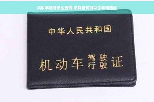 高中学籍号怎么查询,怎样查询高中生学籍档案