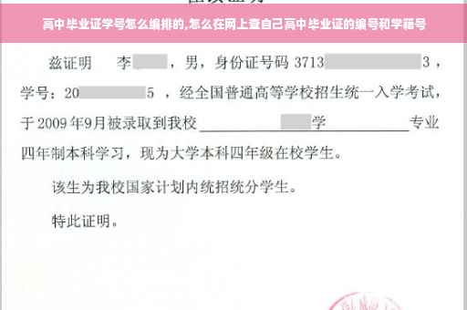 高中毕业证学号怎么编排的,怎么在网上查自己高中毕业证的编号和学籍号