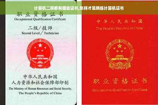 计算机二级都有哪些证书,怎样才是熟练计算机证书